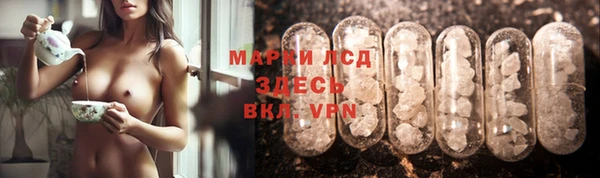 Альфа ПВП Новозыбков