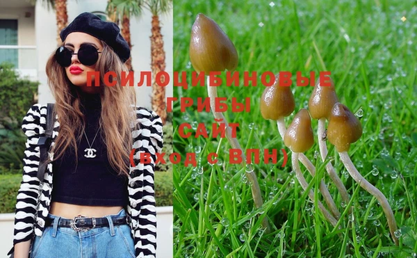 mix Новокубанск