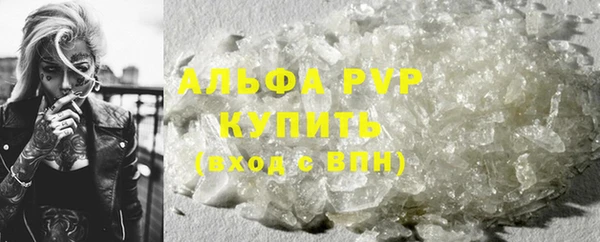 Альфа ПВП Новозыбков