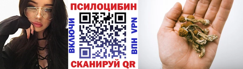 Галлюциногенные грибы Psilocybe  Старая Русса 