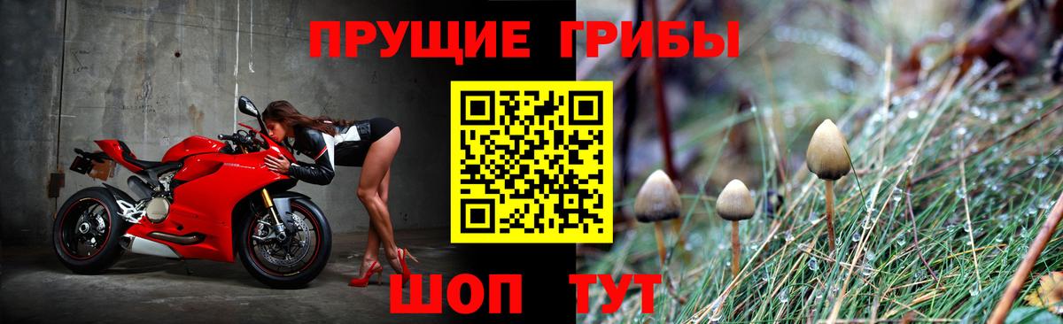 Марихуана Старая Русса