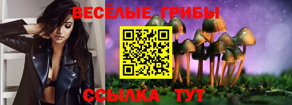 Псилоцибиновые грибы мухоморы Старая Русса